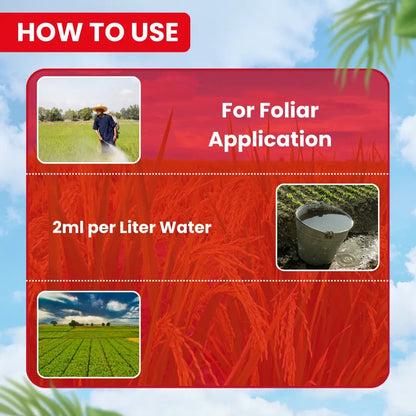 EBS German 505 Chlorpyriphos 50% + Cypermethrin 5% Ec