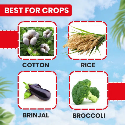 EBS German 505 Chlorpyriphos 50% + Cypermethrin 5% Ec