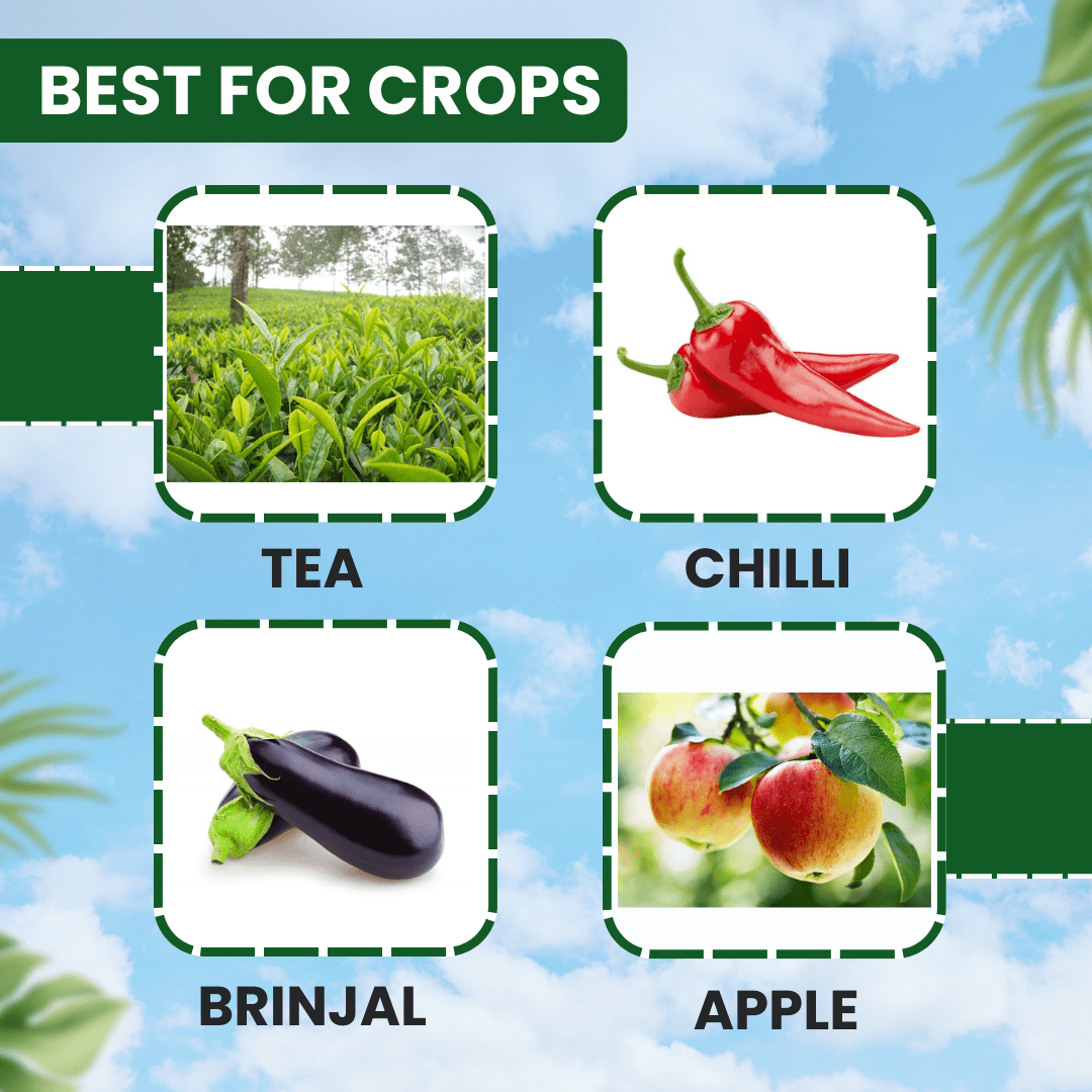 EBS G-Pro Propargite 57 EC mite insecticide for crop protection