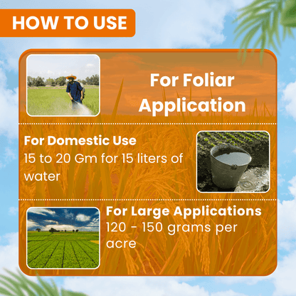 EBS Insectastop | Pymetrozine 50% WG | Dose: 120-150 gm/Acre