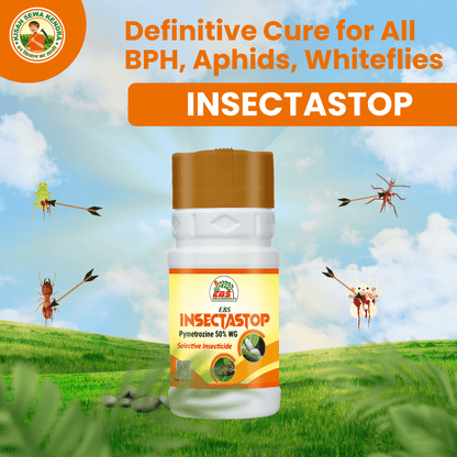 EBS Insectastop | Pymetrozine 50% WG | Dose: 120-150 gm/Acre