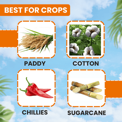 EBS Insectastop | Pymetrozine 50% WG | Dose: 120-150 gm/Acre