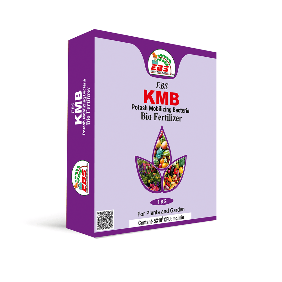 EBS KMB (Potash Mobilizing Bacteria) Bio Fertilizer Powder