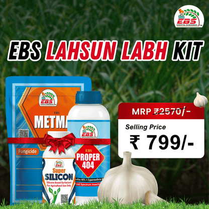 EBS Lahsun Labh Kit