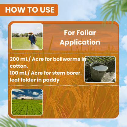 EBS LAMBDA KNIGHT LAMBDA CYHALOTHRIN 5% EC