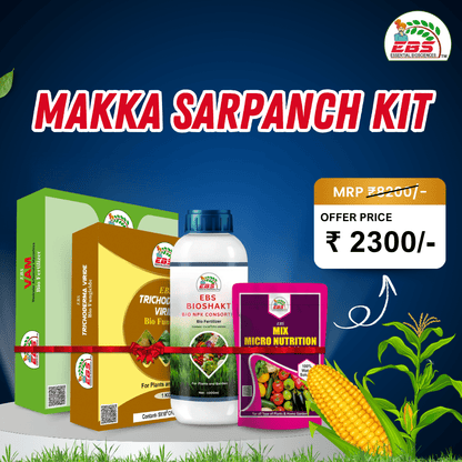 EBS Makka Sarpanch Kit