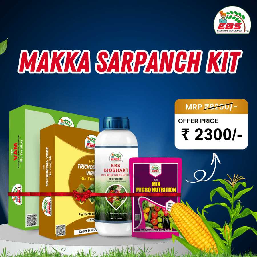 EBS Makka Sarpanch Kit
