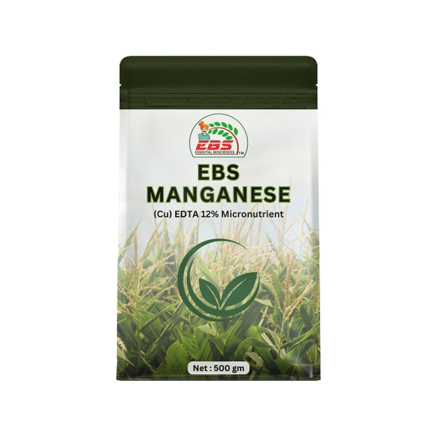 EBS Manganese EDTA 12% – Amino Chelated Manganese Fertilizer for Fast Plant Recovery