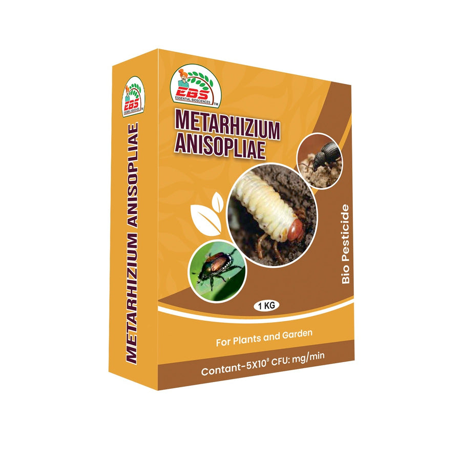 EBS Metarhizium Anisopliae Bio pesticide