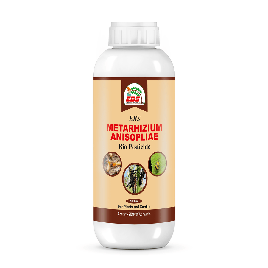 EBS Metarhizium Anisopliae Bio Pesticide – Natural Protection Against Soil & Sucking Pests