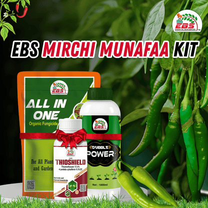 EBS Mirchi Munafaa Kit