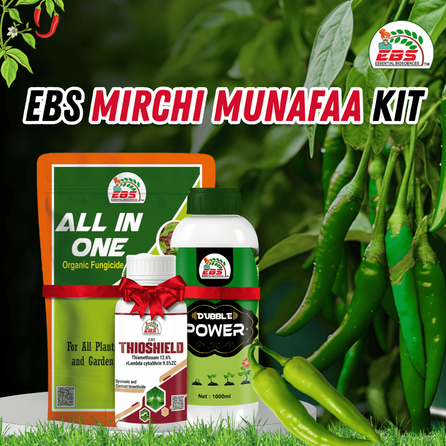 EBS Mirchi Munafaa Kit