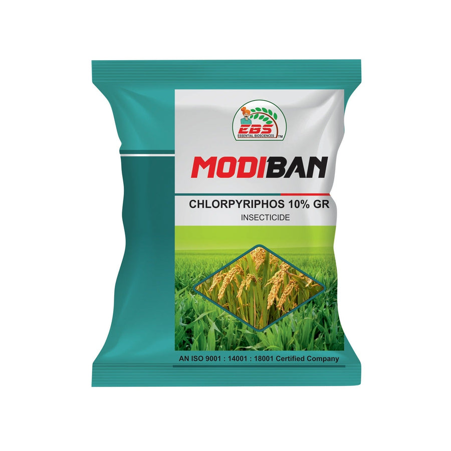 EBS MODIBAN Chlorpyriphos 10% GR Insecticide