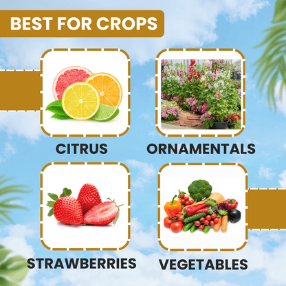 ईबीएस मोलोथियान मैलाथियान 50% ईसी