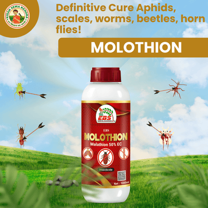 ईबीएस मोलोथियान मैलाथियान 50% ईसी