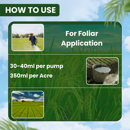 ईबीएस मोनोसाइड मोनोक्रोटोफॉस 36% एसएल