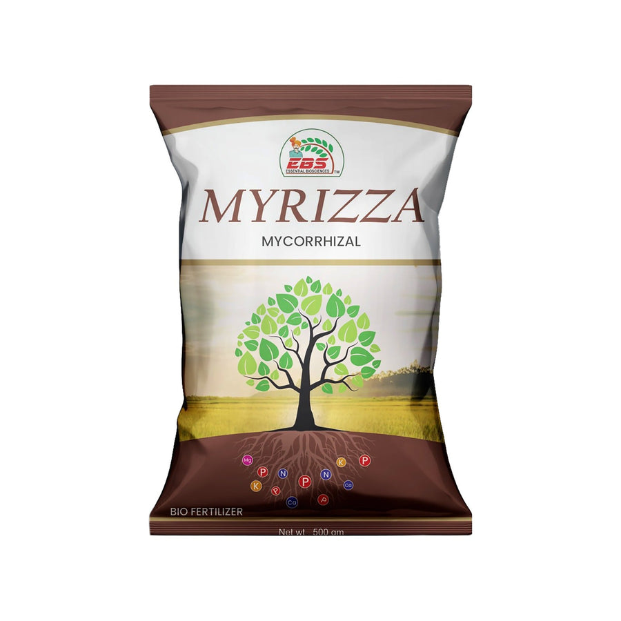 EBS MYRIZZA Mycorrhiza Bio Fertilizer – Advanced Mycorrhizal Fungi for Strong Roots & Healthy Soil