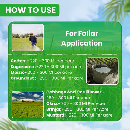 ईबीएस निंजा साइपर साइपरमेथ्रिन 10% ईसी