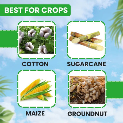 ईबीएस निंजा साइपर साइपरमेथ्रिन 10% ईसी