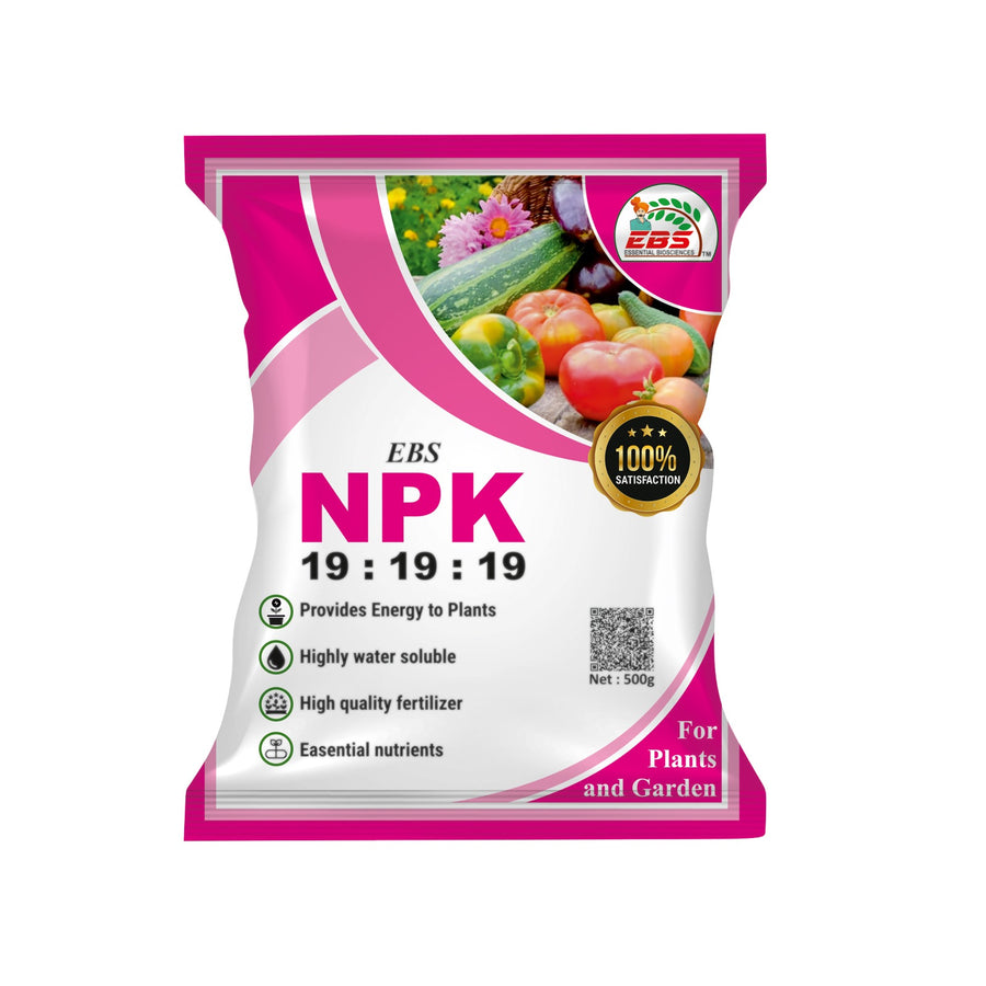 EBS NPK 19:19:19 Water Soluble Fertilizer For Fast Your Plant Growth and Flowering