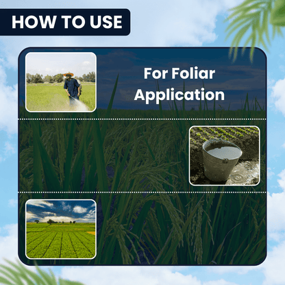 EBS ORIGEN (Fipronil 4% + Thiomethoxam 4% SC)