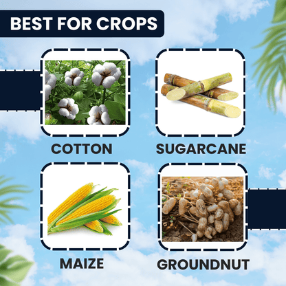 EBS ORIGEN (Fipronil 4% + Thiomethoxam 4% SC)