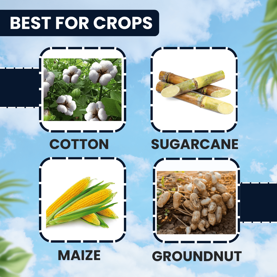 EBS ORIGEN Fipronil 4% Thiamethoxam 4% SC insecticide