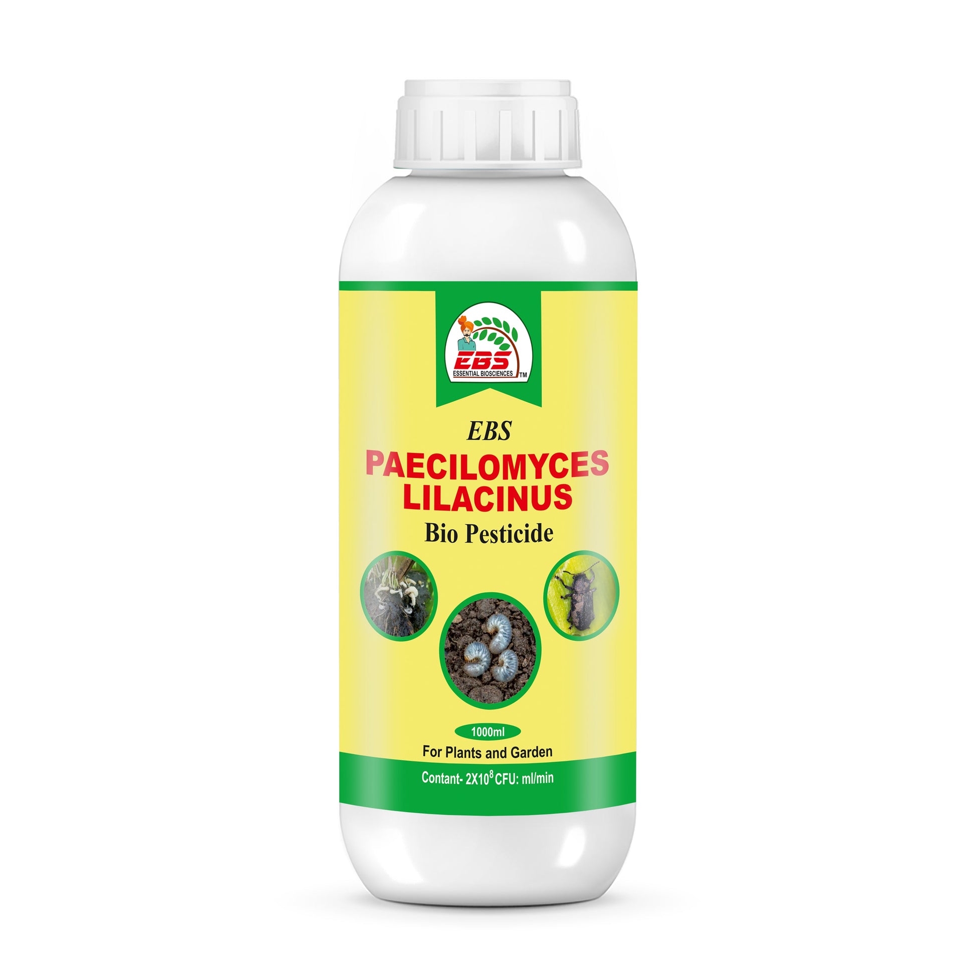 EBS Paecilomyces lilacinus bio insecticide for farming