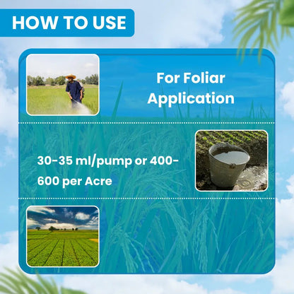 ईबीएस प्रॉपर 404 प्रोफेनोफोस 40% +साइपरमेथ्रिन 4% ईसी