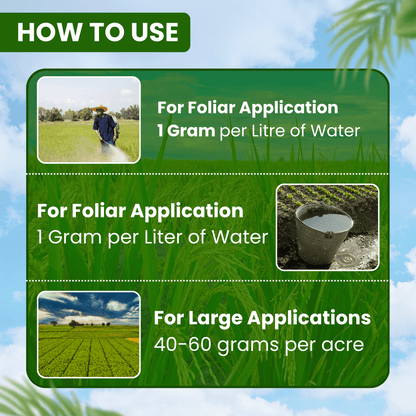 EBS Proton Acetamiprid 20 % Sp