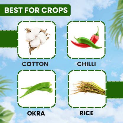 EBS Proton Acetamiprid 20 % Sp