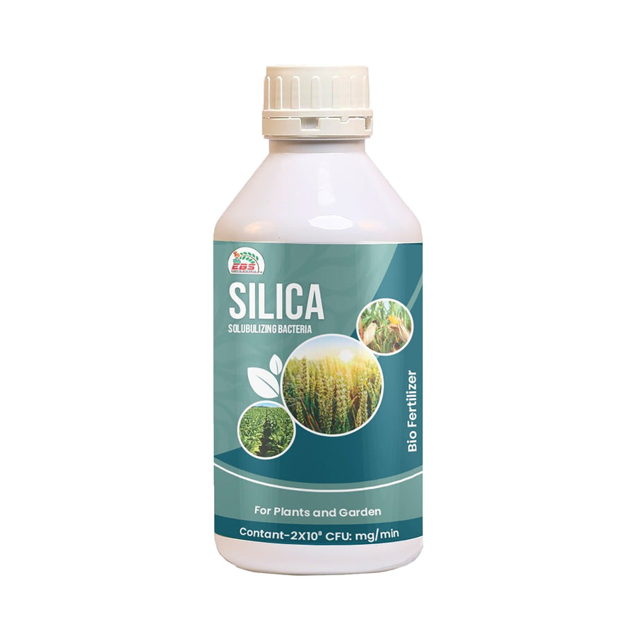 EBS Silica Bio Fertilizer | Silica Solubilizing Bacteria