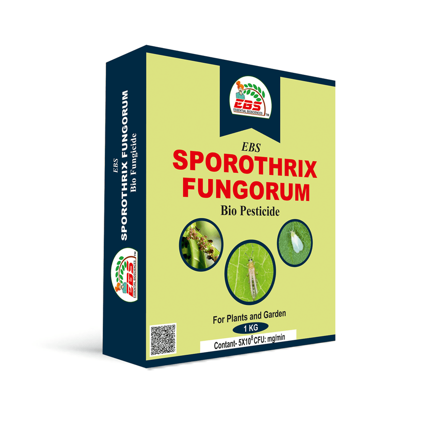 EBS Sporothrix Fungorum Bio Pesticide