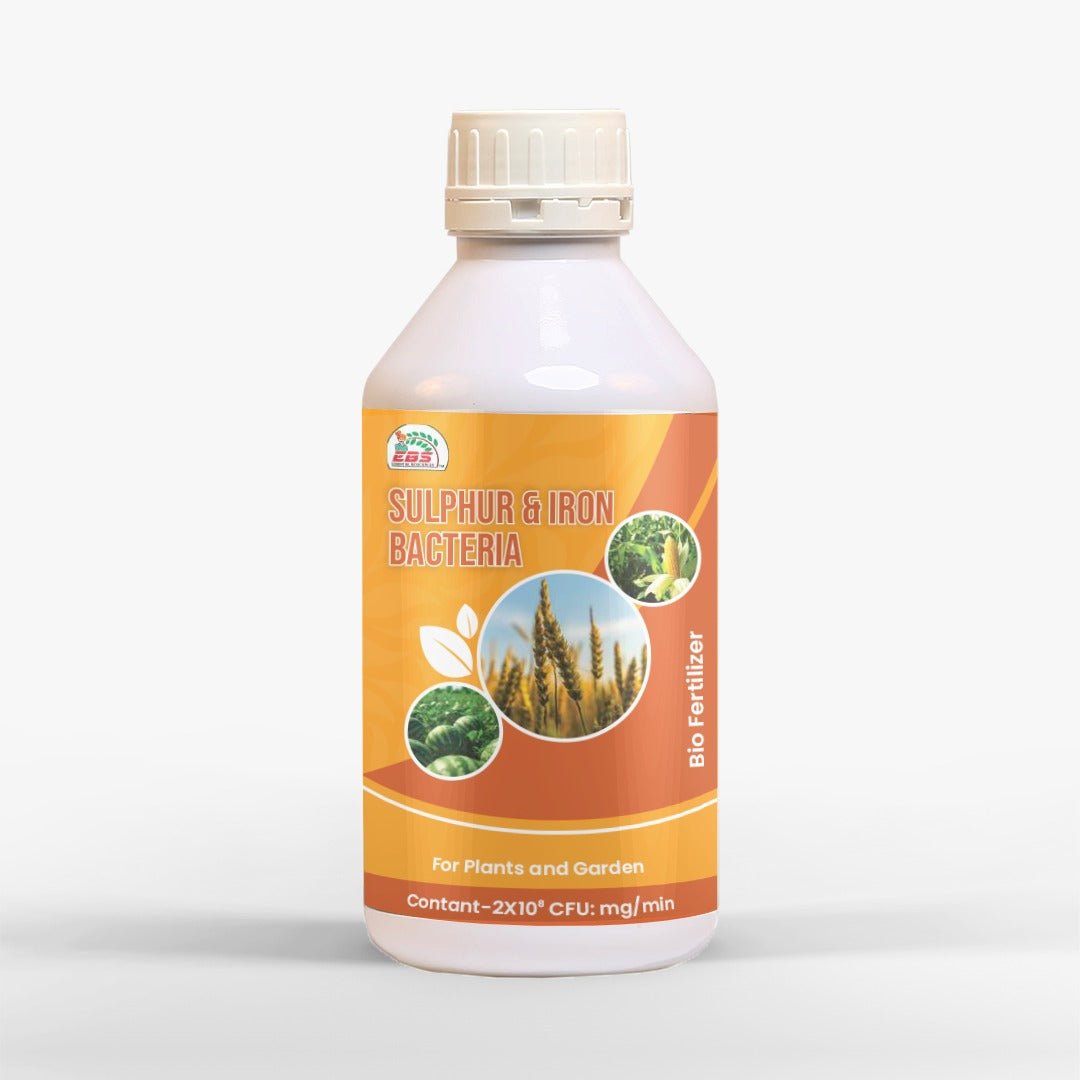 EBS Sulphur and Iron Liquid Bio Fertilizer Bottle