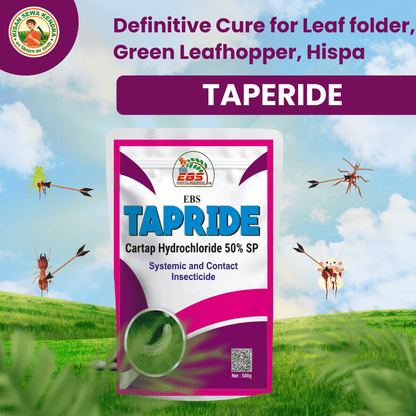 EBS Tapride Cartap Hydrochloride 50% Sp Insecticide