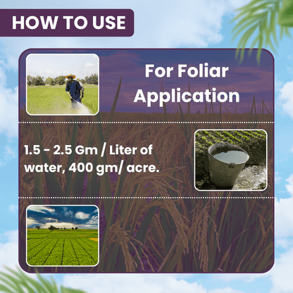 EBS Tapride Cartap Hydrochloride 50% Sp Insecticide