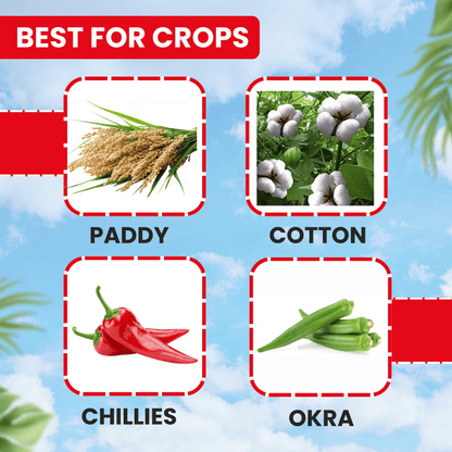 ईबीएस थियोमास्टर थियामेथोक्सम 30% एफएस