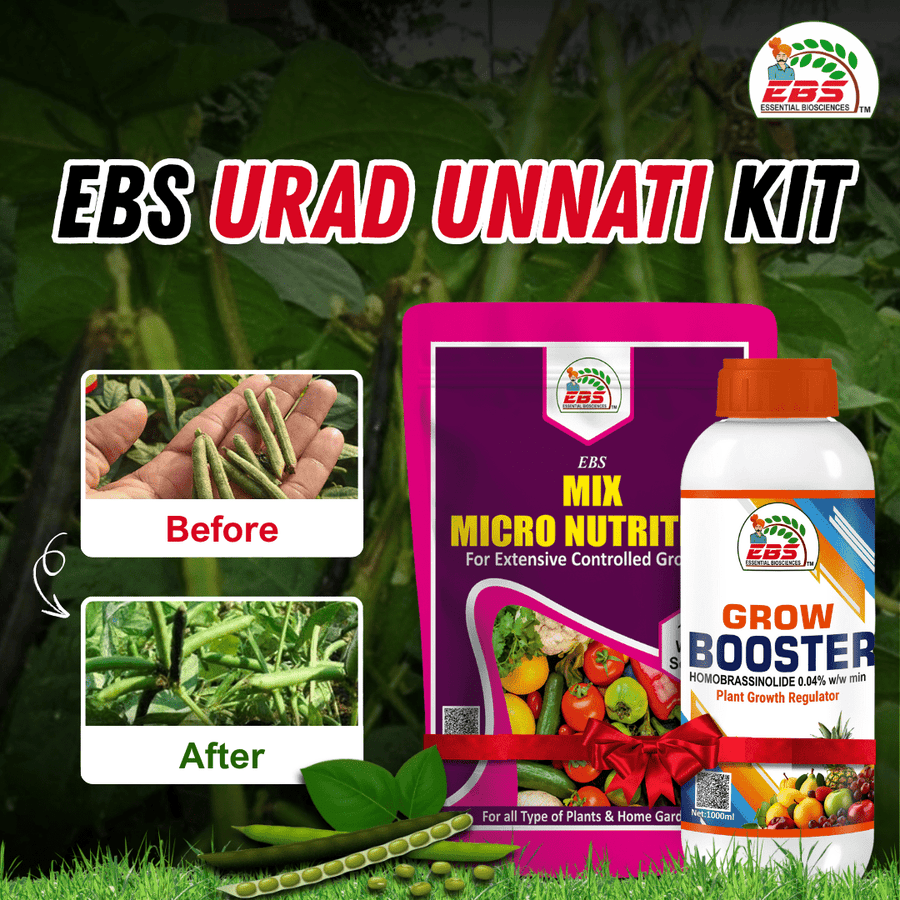 EBS Urad Unnati Kit