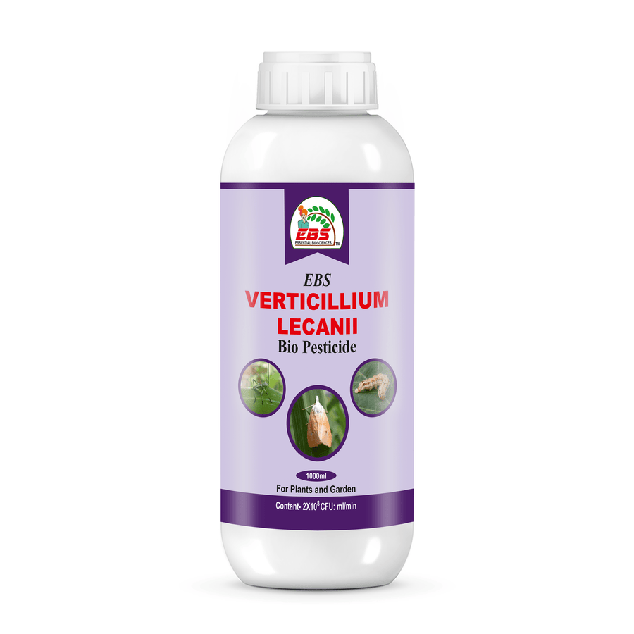 EBS Verticillium Lecanii Bio Pesticide – Natural Control for Sucking Pests in Crops