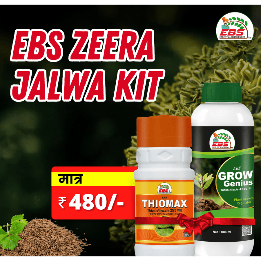 EBS Zeera Jalwa Kit