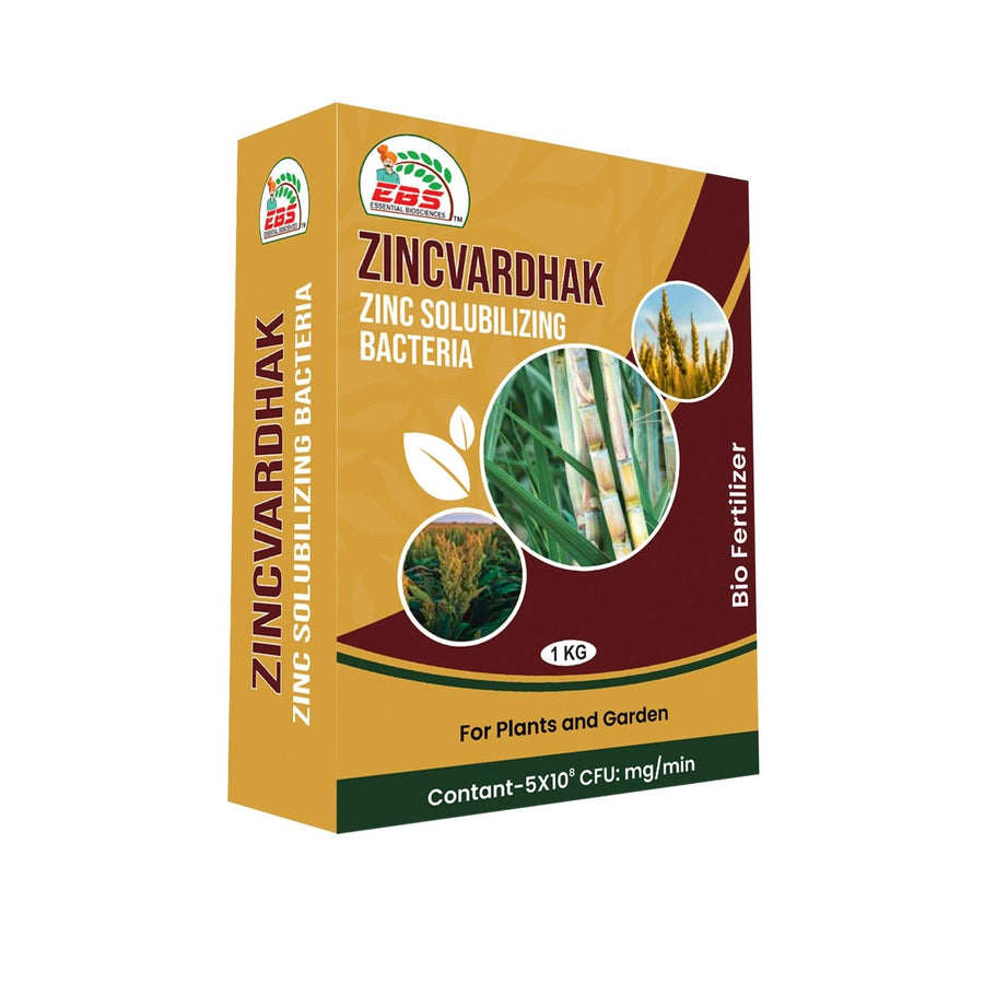 EBS ZINCVARDHAK (Zinc Solubilizing Bacteria) Bio Fertilizer Powder