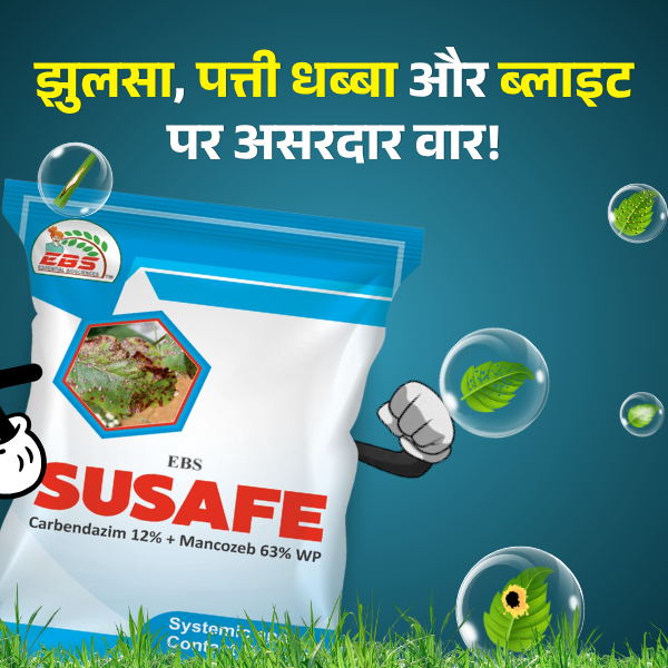 ప్రత్యేకమైన చిత్రం