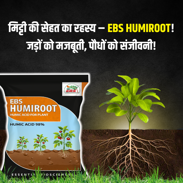 ప్రత్యేకమైన చిత్రం