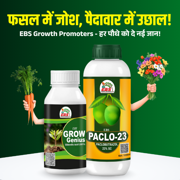 ప్రత్యేకమైన చిత్రం