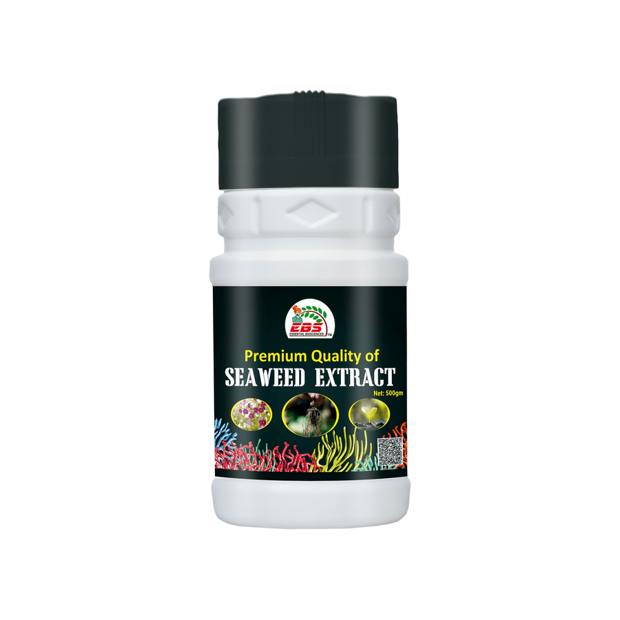 EBS Seaweed Extract (Premium Quality)